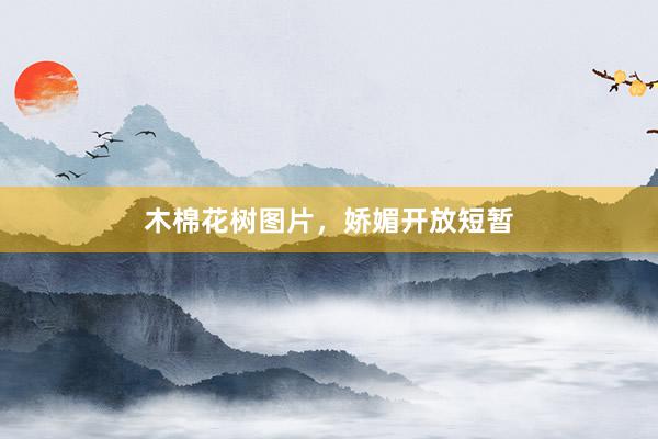 木棉花树图片，娇媚开放短暂
