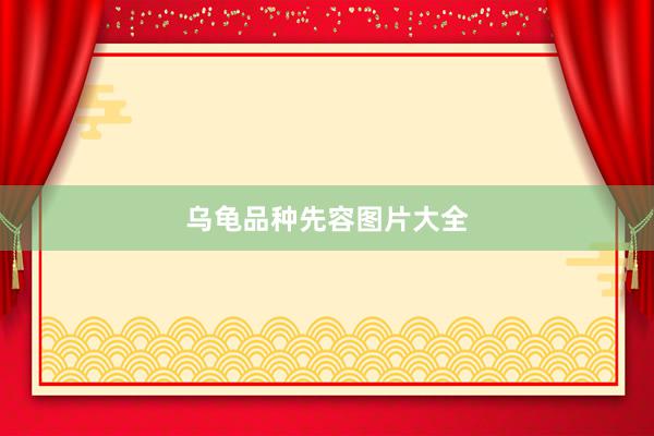 乌龟品种先容图片大全